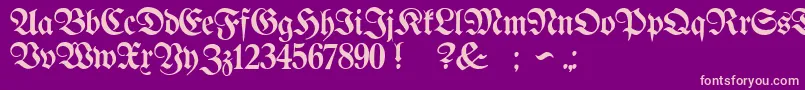 ProclamateLightLight Font – Pink Fonts on Purple Background