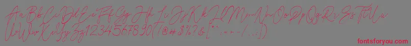 Reman Font – Red Fonts on Gray Background