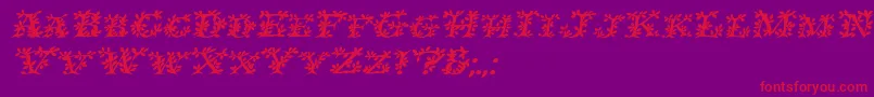 IvydisplaycapsBolditalic Font – Red Fonts on Purple Background