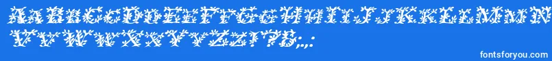 フォントIvydisplaycapsBolditalic – 青い背景に白い文字