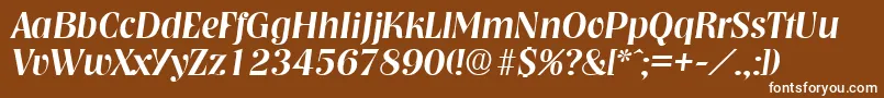 NashvilleMediumita Font – White Fonts on Brown Background