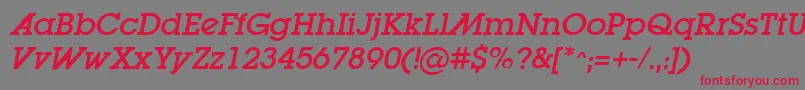 LugaadOblique Font – Red Fonts on Gray Background