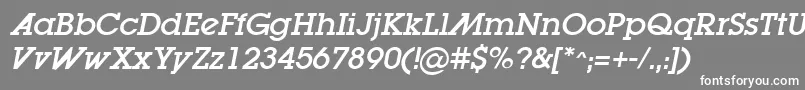 LugaadOblique Font – White Fonts on Gray Background