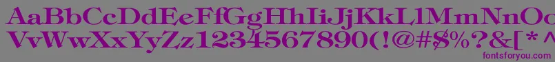 TiffanyBoldWd-fontti – violetit fontit harmaalla taustalla