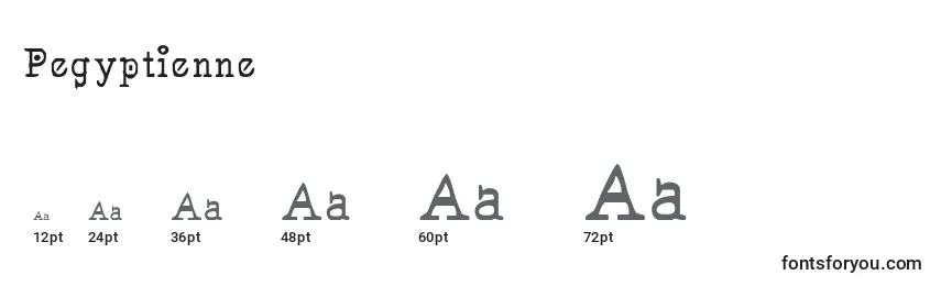 Размеры шрифта Pegyptienne
