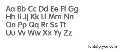 VolkswagenserialBold Font