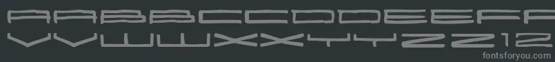 フォント25000 – 黒い背景に灰色の文字