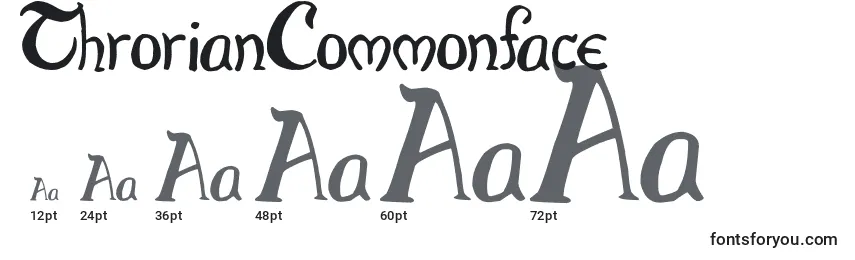 Größen der Schriftart ThrorianCommonface (88273)