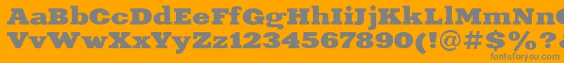 XeniaextendedBoldRegular Font – Gray Fonts on Orange Background