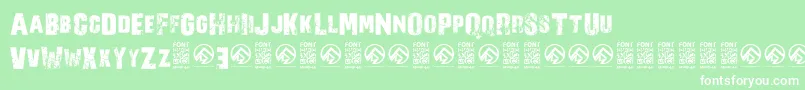 NorverenceRegular Font – White Fonts on Green Background