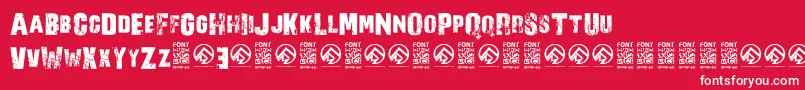 NorverenceRegular Font – White Fonts on Red Background