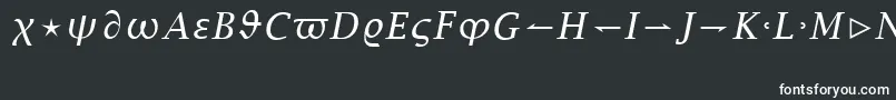 Шрифт LucidaBrightMathItalic – белые шрифты