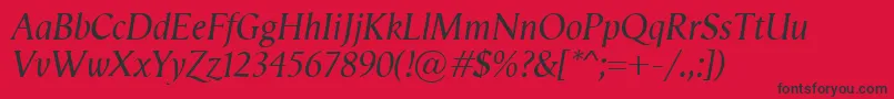 VegaAntikvaItalic Font – Black Fonts on Red Background