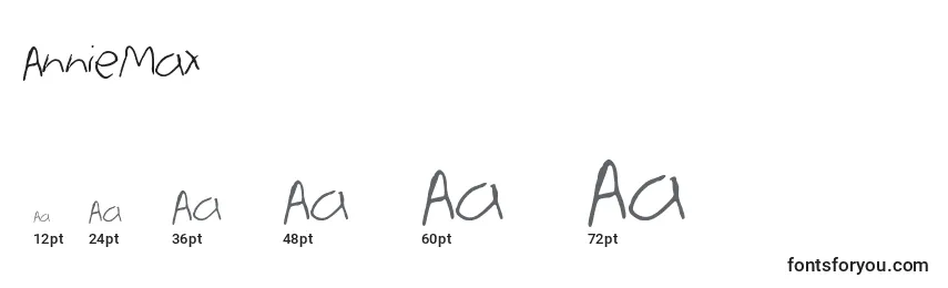 AnnieMax Font Sizes