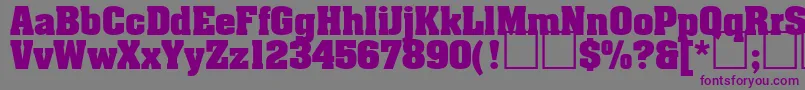 ARdvarkBold Font – Purple Fonts on Gray Background