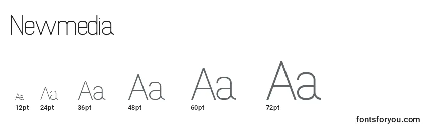 Newmedia Font Sizes