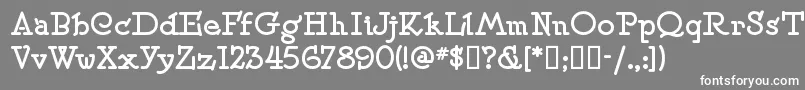 フォントSpeedballno2sw – 灰色の背景に白い文字