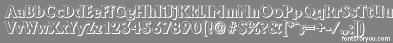フォントAdelonshadowXboldRegular – 灰色の背景に白い文字