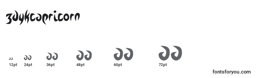 ZdykCapricorn Font Sizes