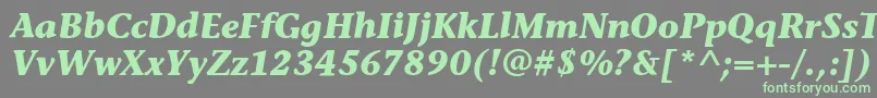 StoneInfItcBoldItalic Font – Green Fonts on Gray Background