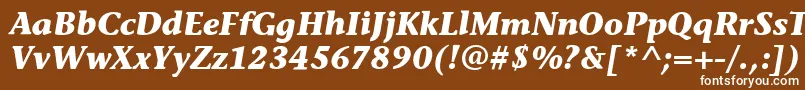 StoneInfItcBoldItalic-Schriftart – Weiße Schriften auf braunem Hintergrund