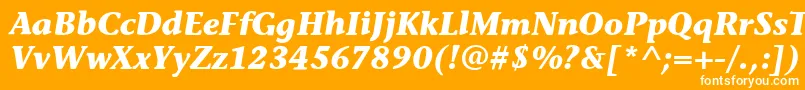 Czcionka StoneInfItcBoldItalic – białe czcionki na pomarańczowym tle