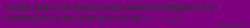 WaterstitlingproBdcn Font – Black Fonts on Purple Background