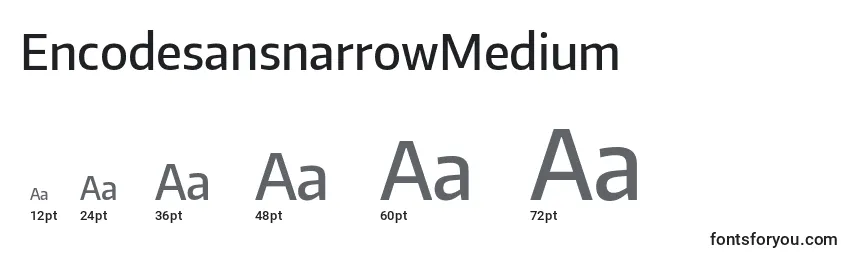 Размеры шрифта EncodesansnarrowMedium