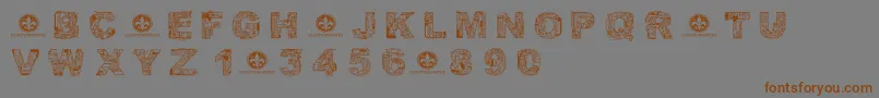CfcircuitelectriqueRegular Font – Brown Fonts on Gray Background