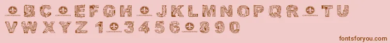 CfcircuitelectriqueRegular Font – Brown Fonts on Pink Background