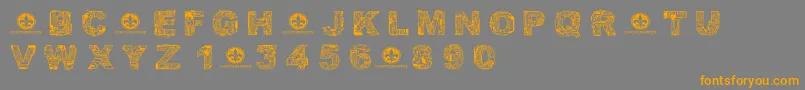 CfcircuitelectriqueRegular Font – Orange Fonts on Gray Background