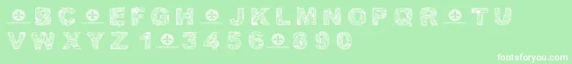 CfcircuitelectriqueRegular Font – White Fonts on Green Background