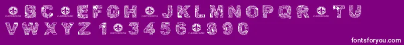 CfcircuitelectriqueRegular Font – White Fonts on Purple Background