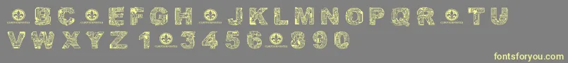 CfcircuitelectriqueRegular Font – Yellow Fonts on Gray Background