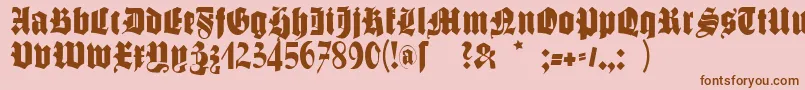 Schmalegotischmk Font – Brown Fonts on Pink Background