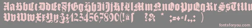 Schmalegotischmk Font – Pink Fonts on Gray Background