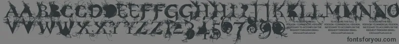 フォントBondageDemoVersion – 黒い文字の灰色の背景
