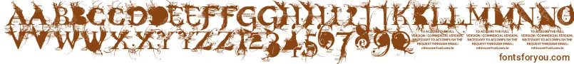 Шрифт BondageDemoVersion – коричневые шрифты на белом фоне
