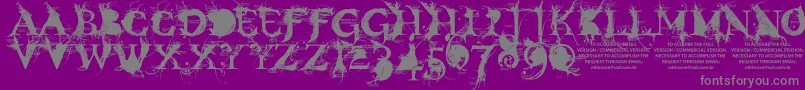 BondageDemoVersion Font – Gray Fonts on Purple Background