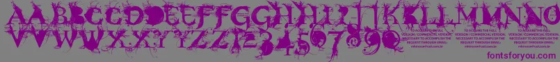 Шрифт BondageDemoVersion – фиолетовые шрифты на сером фоне