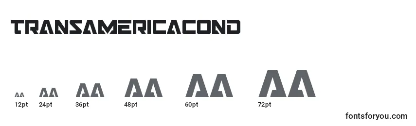 Размеры шрифта Transamericacond