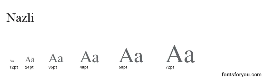 Размеры шрифта Nazli