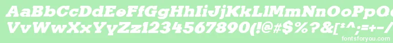 KaineItalic Font – White Fonts on Green Background