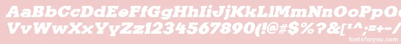 KaineItalic Font – White Fonts on Pink Background