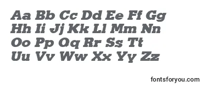 Обзор шрифта KaineItalic