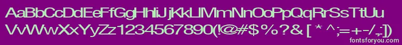 Firsthome34RegularTtext Font – Green Fonts on Purple Background