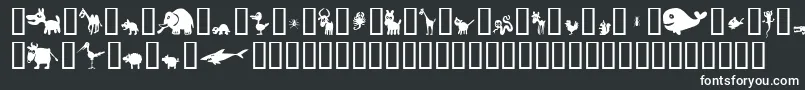 Win Pets 2 Font – White Fonts on Black Background