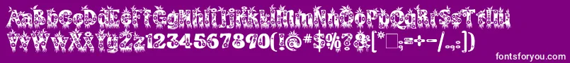 KingthingsAnnexx Font – White Fonts on Purple Background