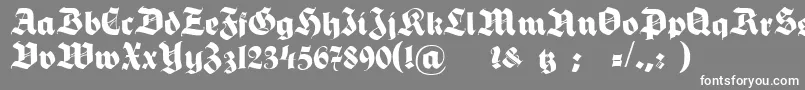 フォントHermannGotischNormalc – 灰色の背景に白い文字