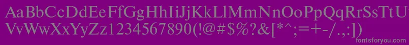 Шрифт Newtonkoictt – серые шрифты на фиолетовом фоне